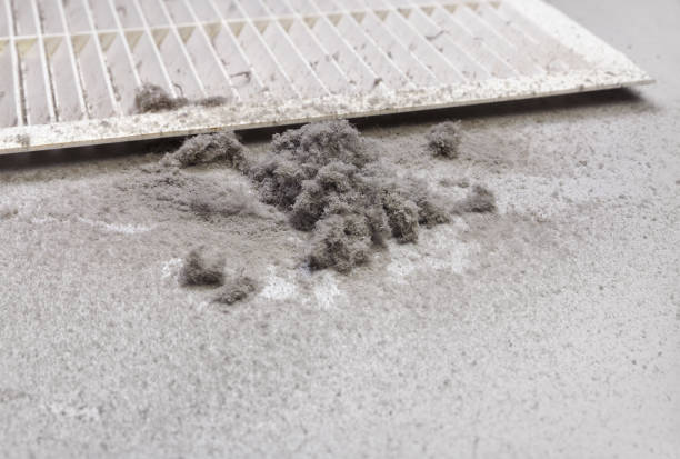 Best Affordable HVAC Duct Cleaning  in Sunland Park, NM