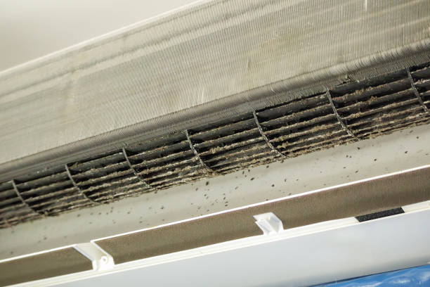 Best HVAC System Cleaning  in Sunland Park, NM